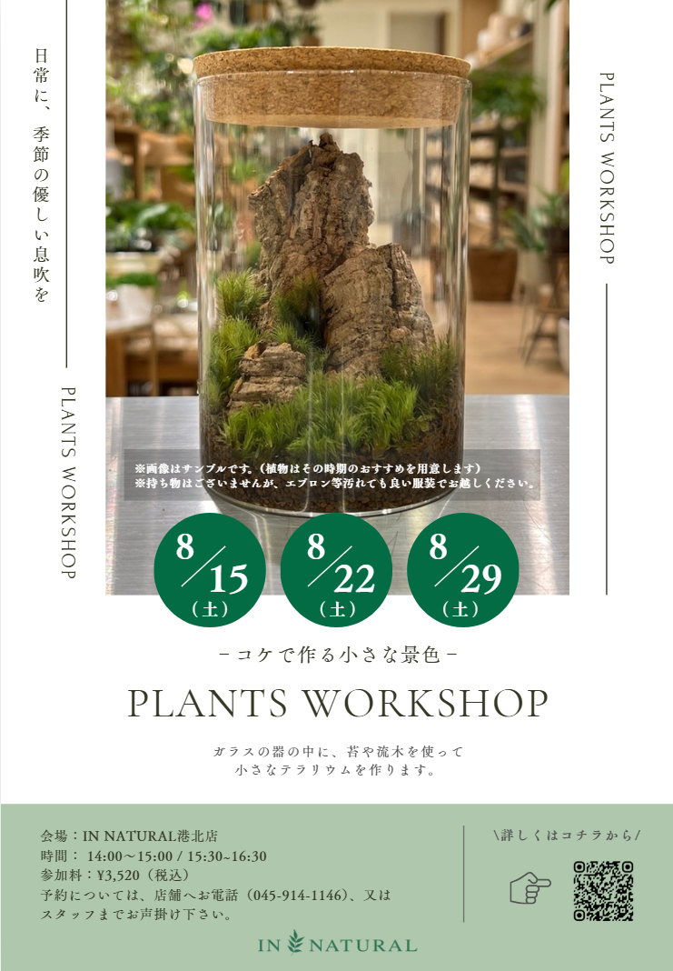 【コトコト】「インナチュラル」苔テラリウムのワークショップ開催 作って飾って楽しめる苔テラリウムの制作体験