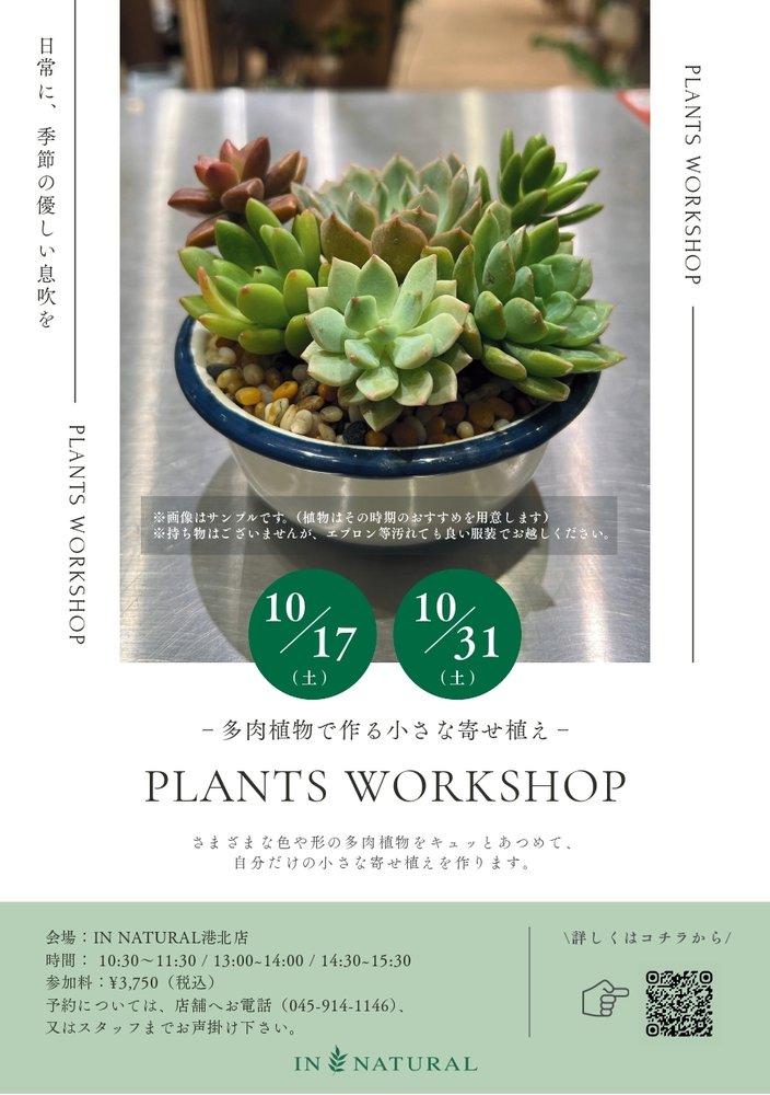 【コトコト】「インナチュラル」多肉植物の寄せ植えワークショップ　自分だけの小さな寄せ植え制作