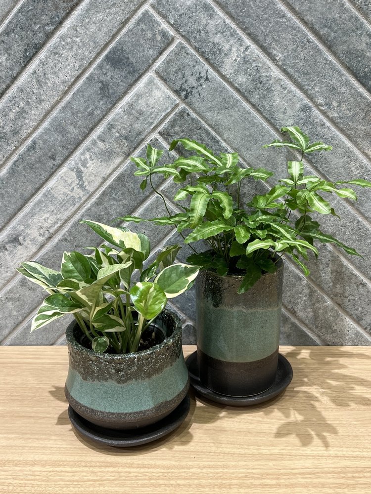 自然な風合いが植物を引き立てる