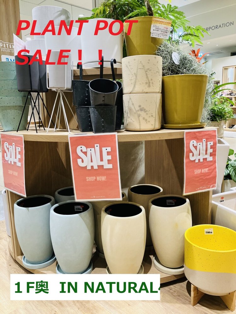 1階 IN NATURAL】SALE！鉢！鉢！鉢！ | ライフスタイル雑貨 | ショップ