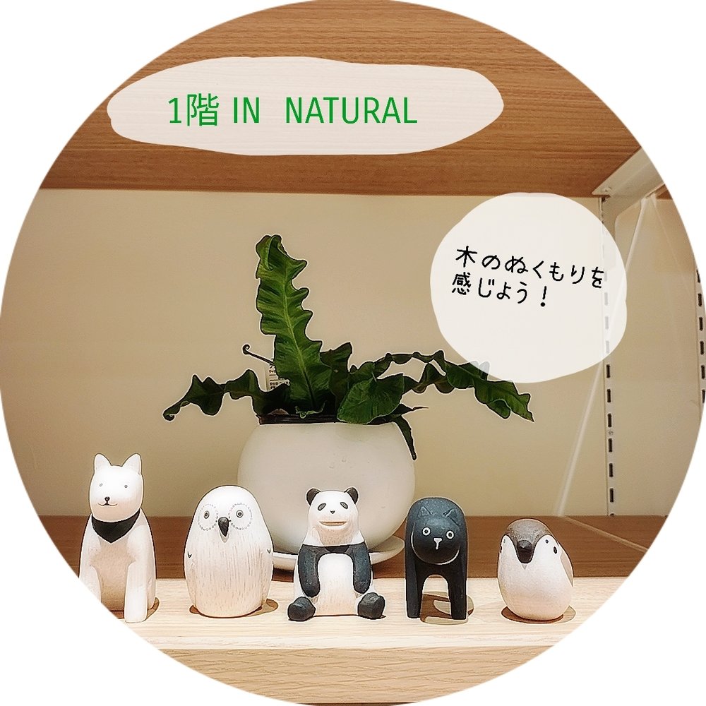 【1階 IN NATURAL】世界にひとつのオブジェ
