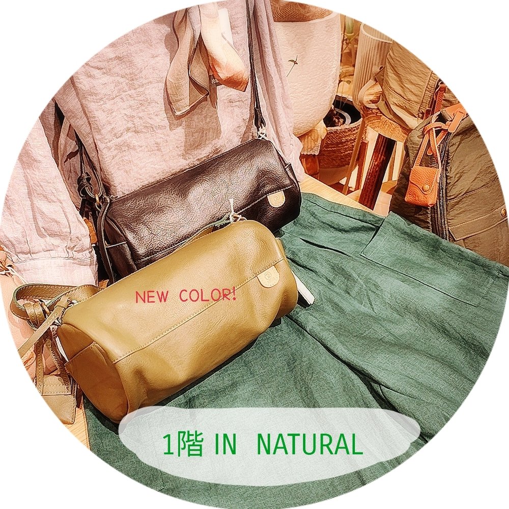 【1階 IN NATURAL】新色入荷！