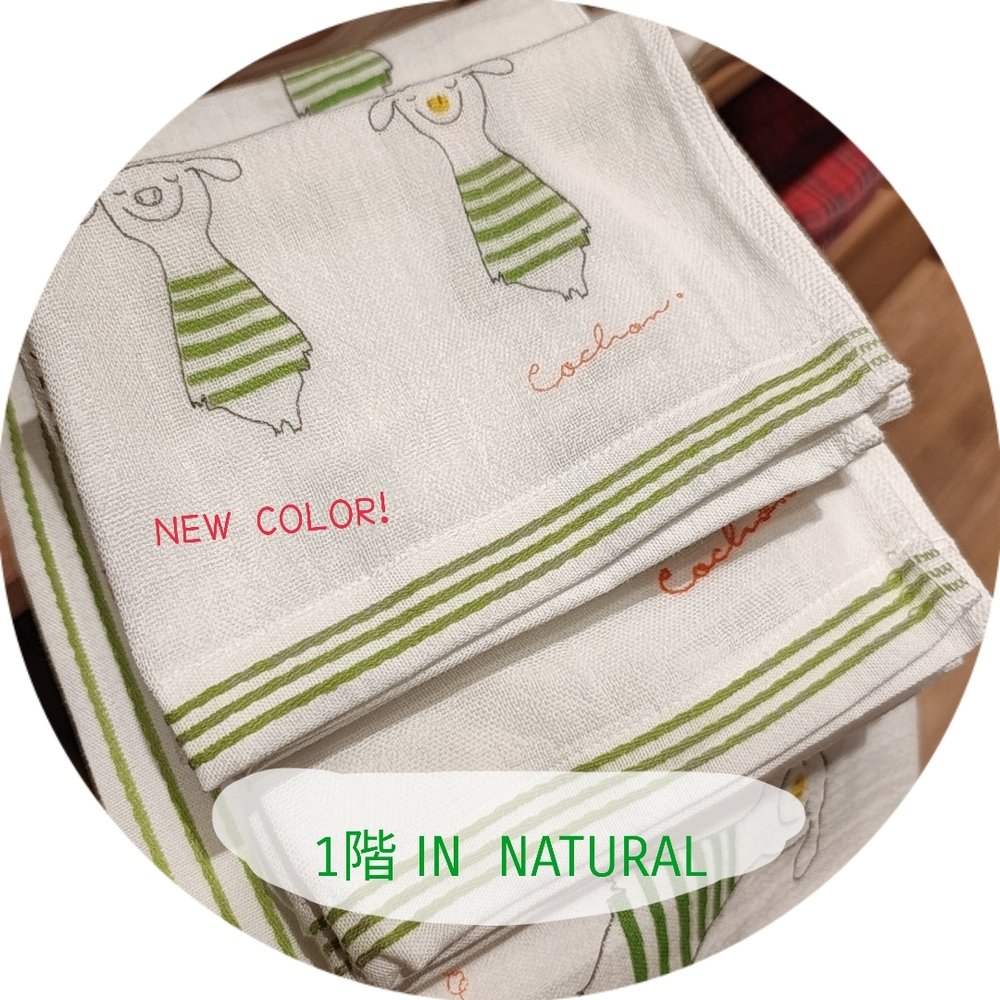 【1階 IN NATURAL】再入荷のお知らせ！