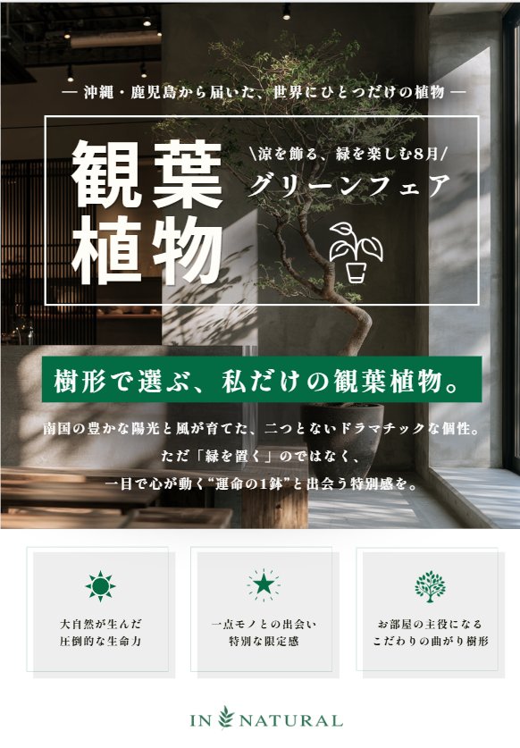 【1階 IN NATURAL】沖縄・鹿児島産フェア開催中！！