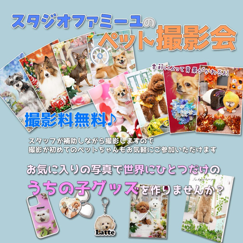 9月12日(土)11:00〜18:00 スタジオファミーユによる プロカメラマンによるペットの撮影会