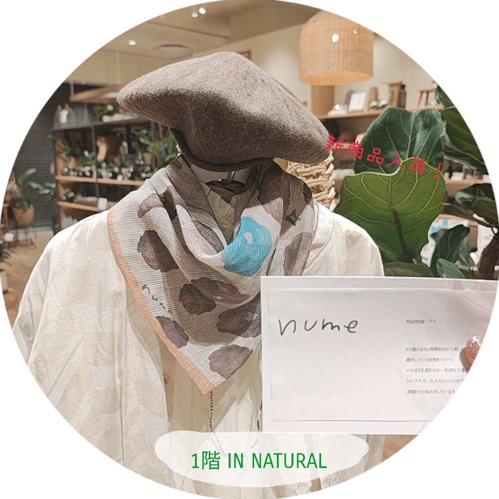 【1階 IN NATURAL】nume新作入荷！