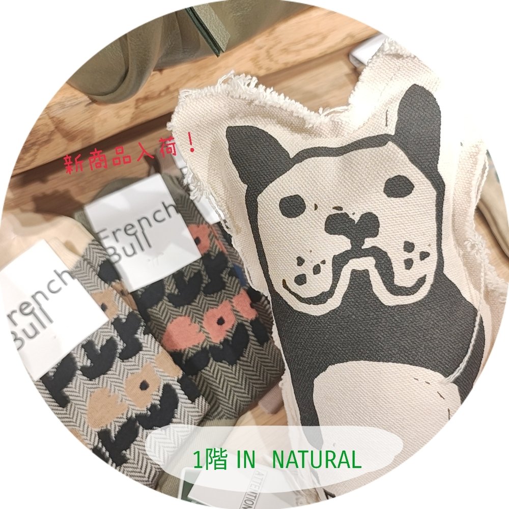 【1階 IN NATURAL】可愛い靴下入荷！