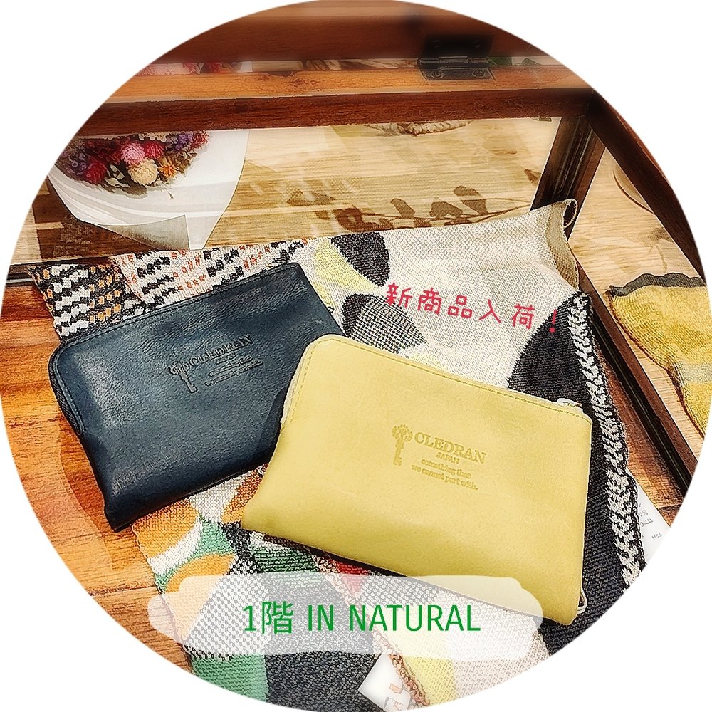 【1階 IN NATURAL】CLEDRAN新作入荷！