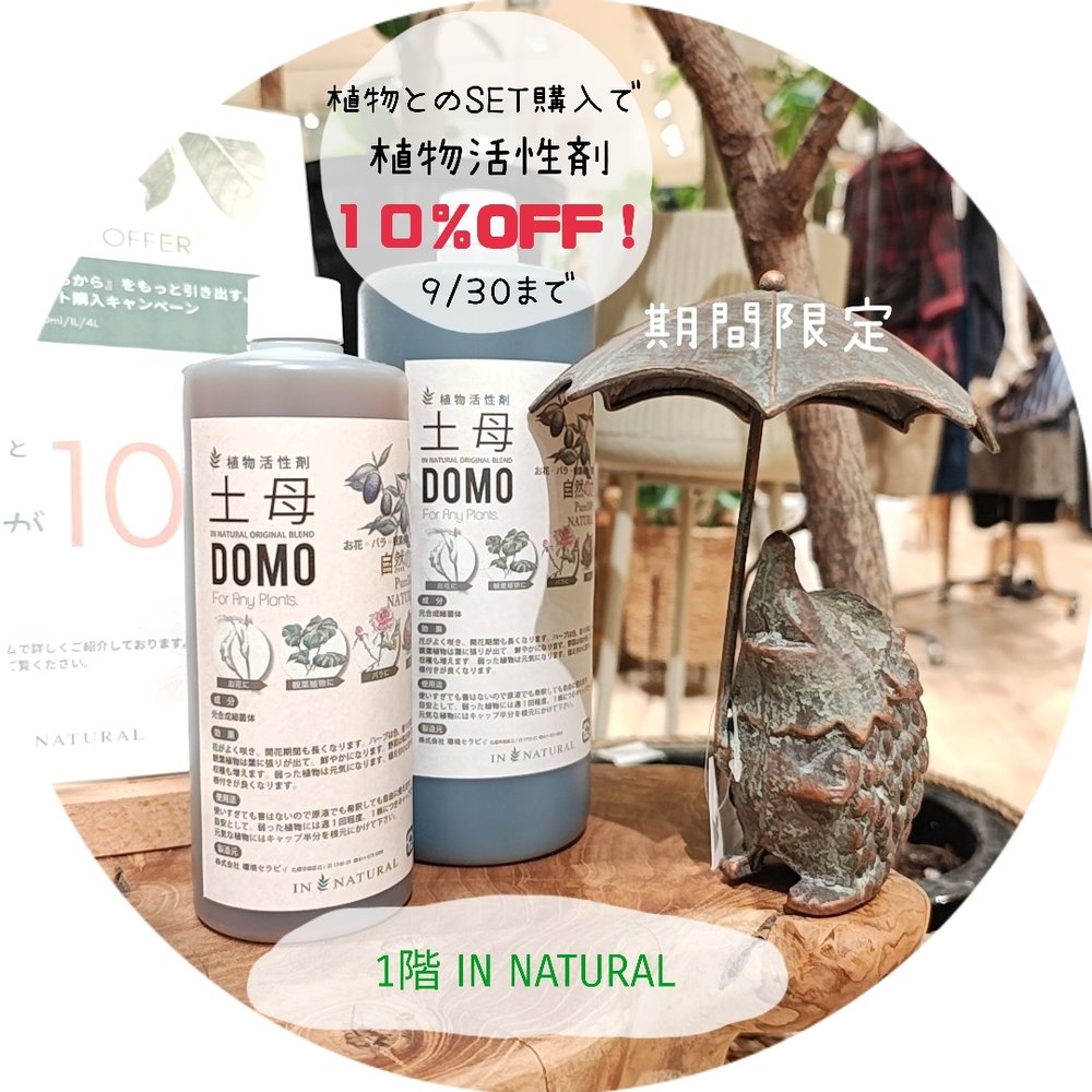 【1階 IN NATURAL】植物活性剤１０％ＯＦＦ！！