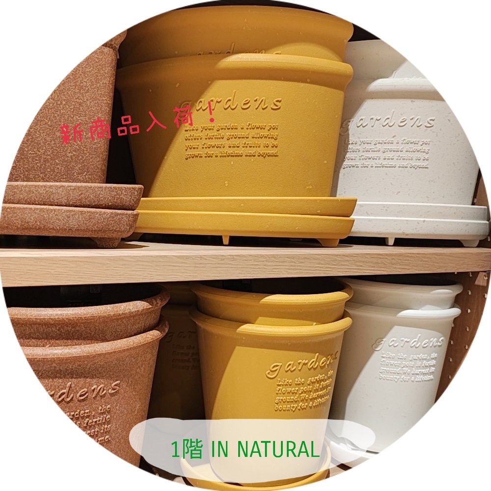 【1階 IN NATURAL】環境にやさしい鉢入荷致しました！