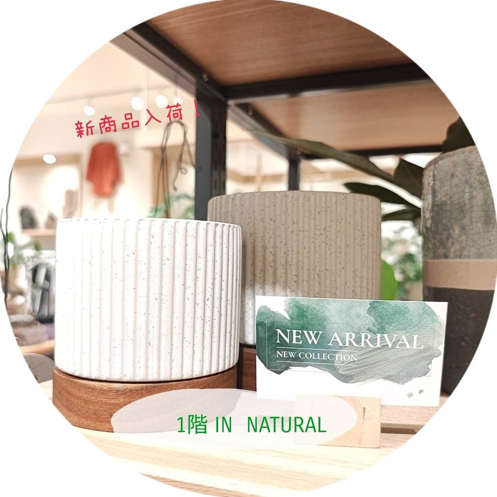 【1階 IN NATURAL】ウッド調のおしゃれな鉢入荷致しました！