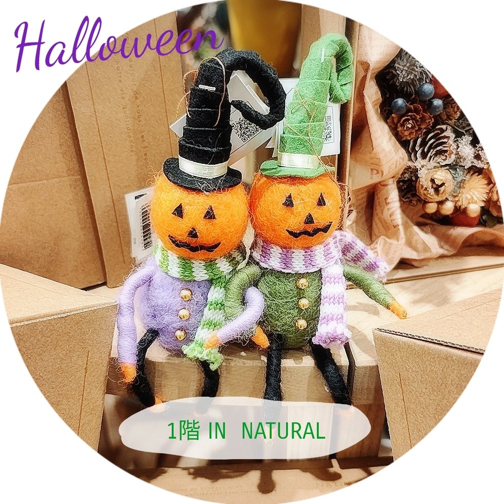 【1階 IN NATURAL】Halloween Plants🎃