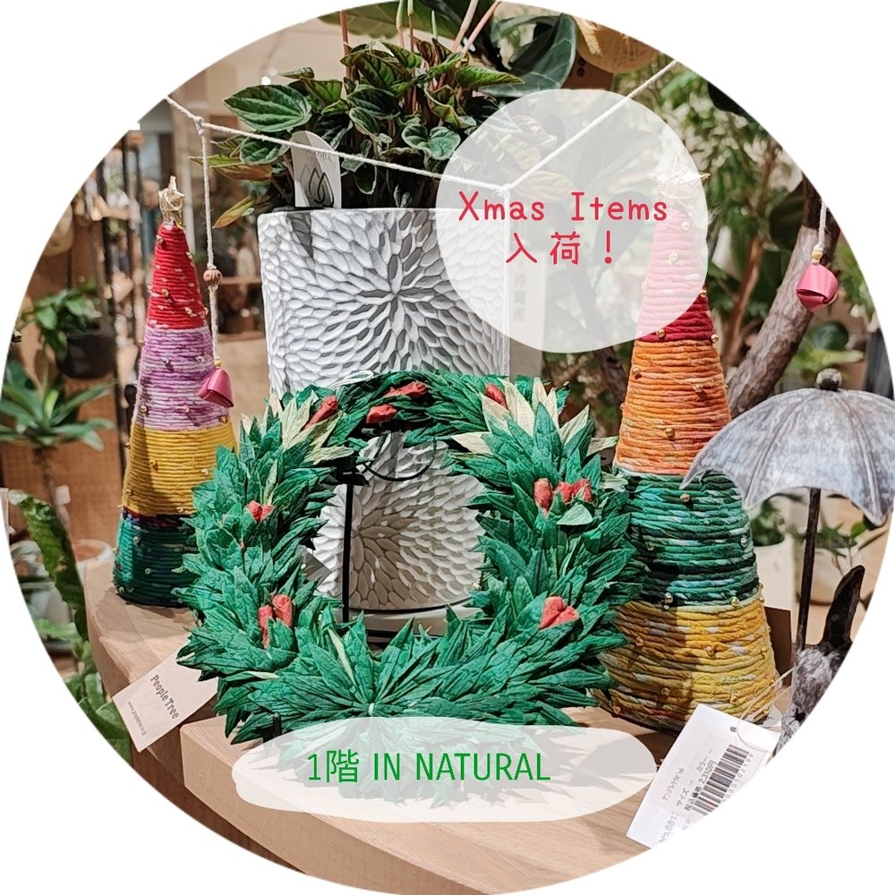 【1階 IN NATURAL】Xmasアイテム入荷！