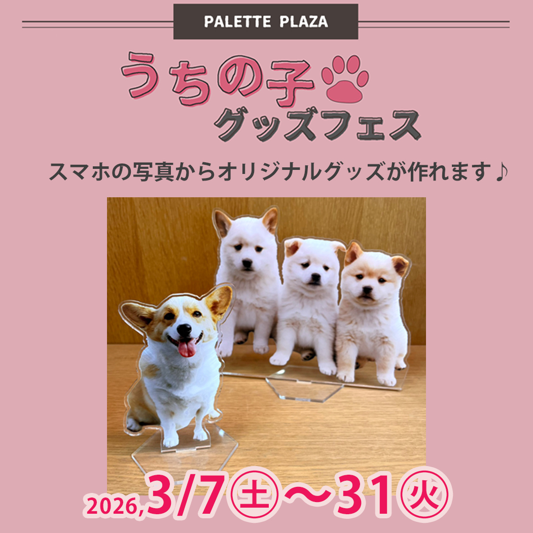 フォトグッズご注文でノベルティプレゼント